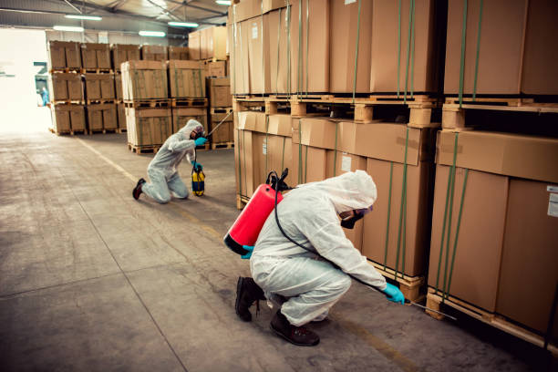 Best Local Pest Control Services  in Commerce, TX