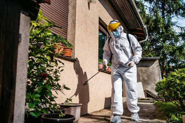 Best Flea Control Services  in Commerce, TX