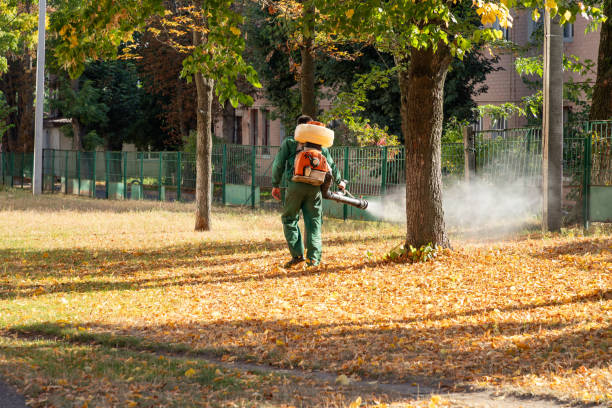 Best Mosquito Control Services  in Commerce, TX