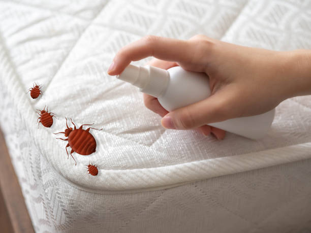 Best Pest Removal Services  in Commerce, TX
